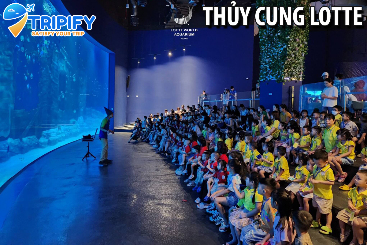 Vé Thủy Cung Lotte World Aquarium - Trong Tuần | Khách Nước Ngoài