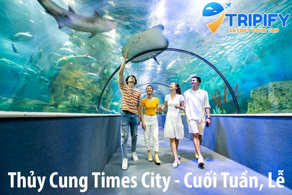 Thủy Cung Times City - Giá Vé Cuối Tuần [Thứ 7, Chủ Nhật, Lễ]