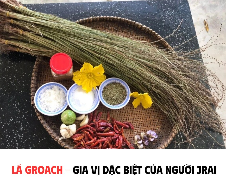 LÁ GROACH - GIA VỊ ĐẶC BIỆT CỦA NGƯỜI JRAI