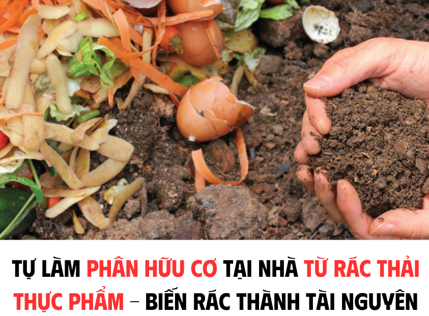 TỰ LÀM PHÂN HỮU CƠ TẠI NHÀ TỪ RÁC THẢI THỰC PHẨM - BIẾN RÁC THÀNH TÀI NGUYÊN