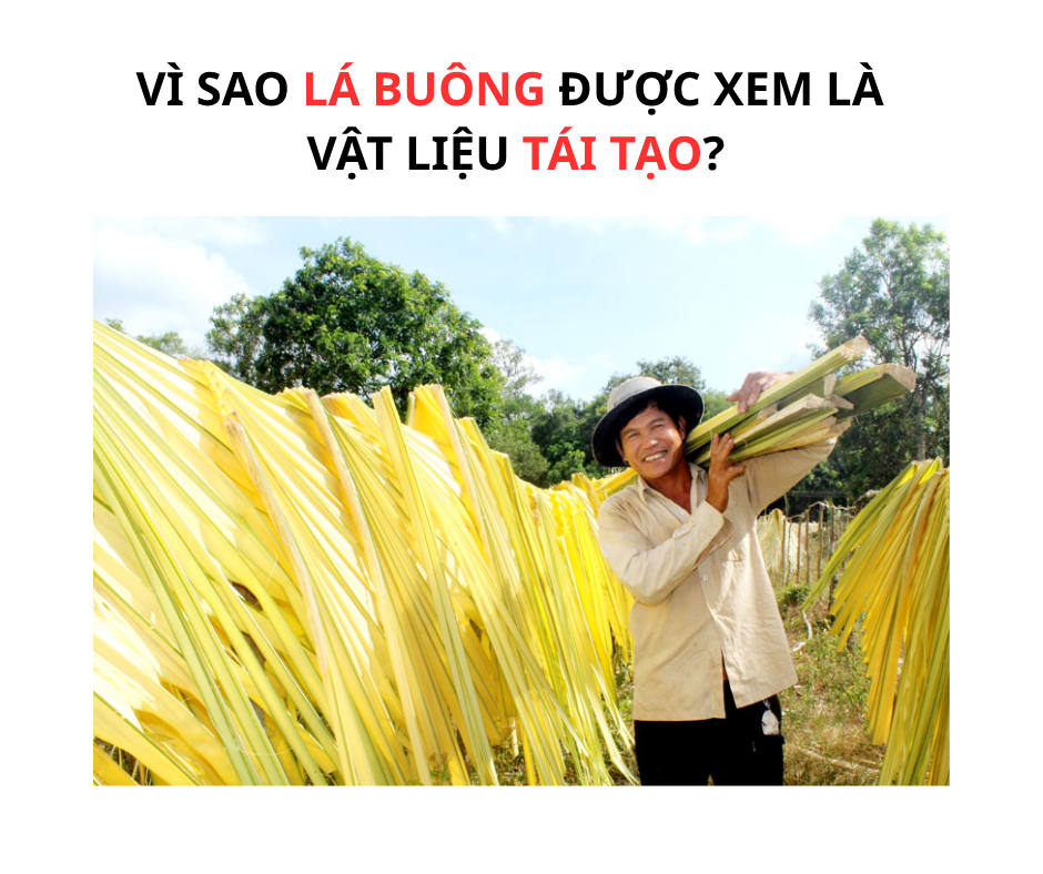 VÌ SAO LÁ BUÔNG ĐƯỢC XEM LÀ VẬT LIỆU TÁI TẠO?