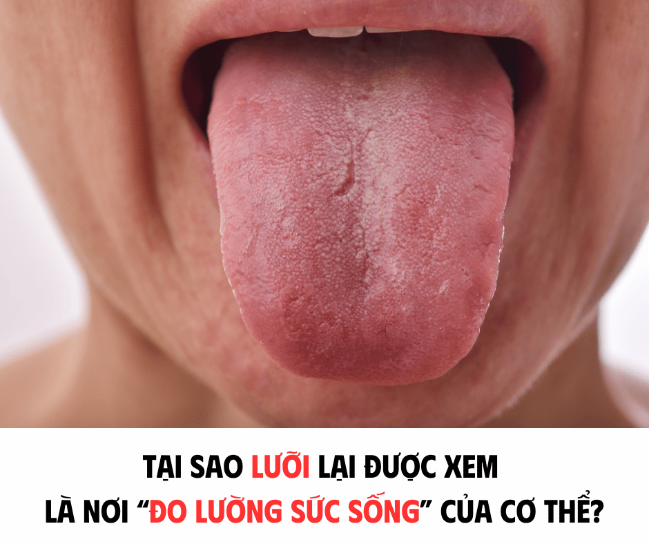 TAIJ SAO LƯỠI LẠI ĐƯỢC XEM LÀ NƠI 