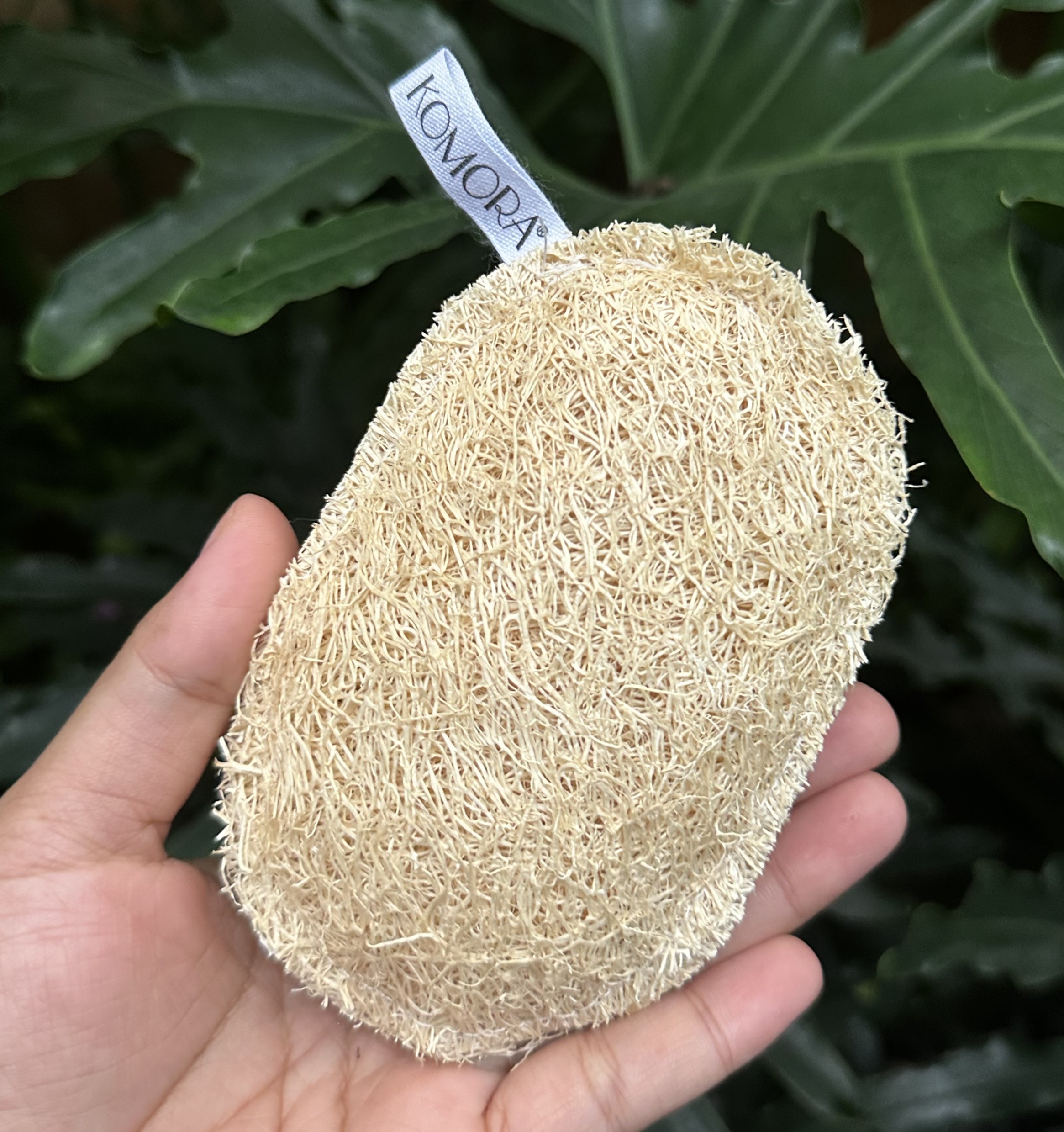 XƠ MƯỚP - VẬT LIỆU THIÊN NHIÊN, BỀN ĐẸP NẾU BIẾT CÁCH DÙNG ĐÚNG