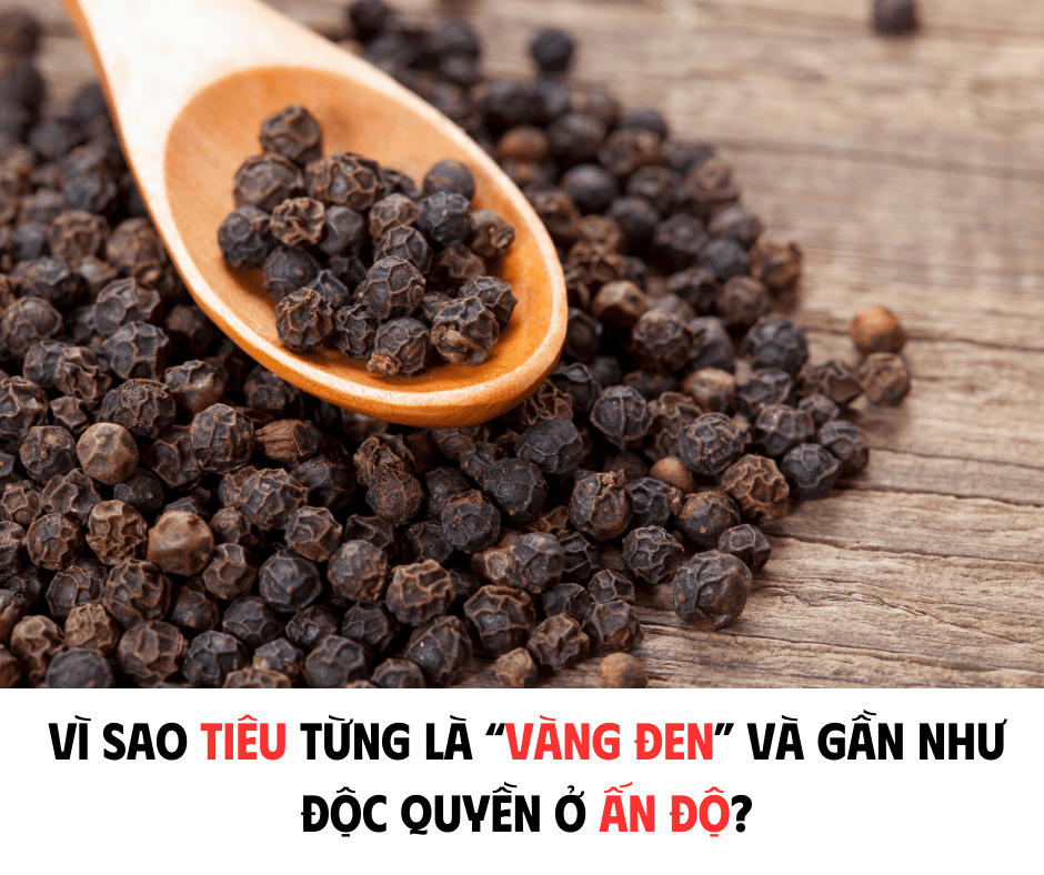 VÌ SAO TIÊU TỪNG LÀ