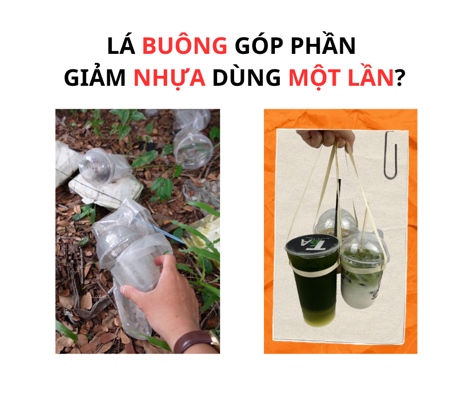 LÁ BUÔNG GÓP PHẦN GIẢM NHỰA DÙNG MỘT LẦN?
