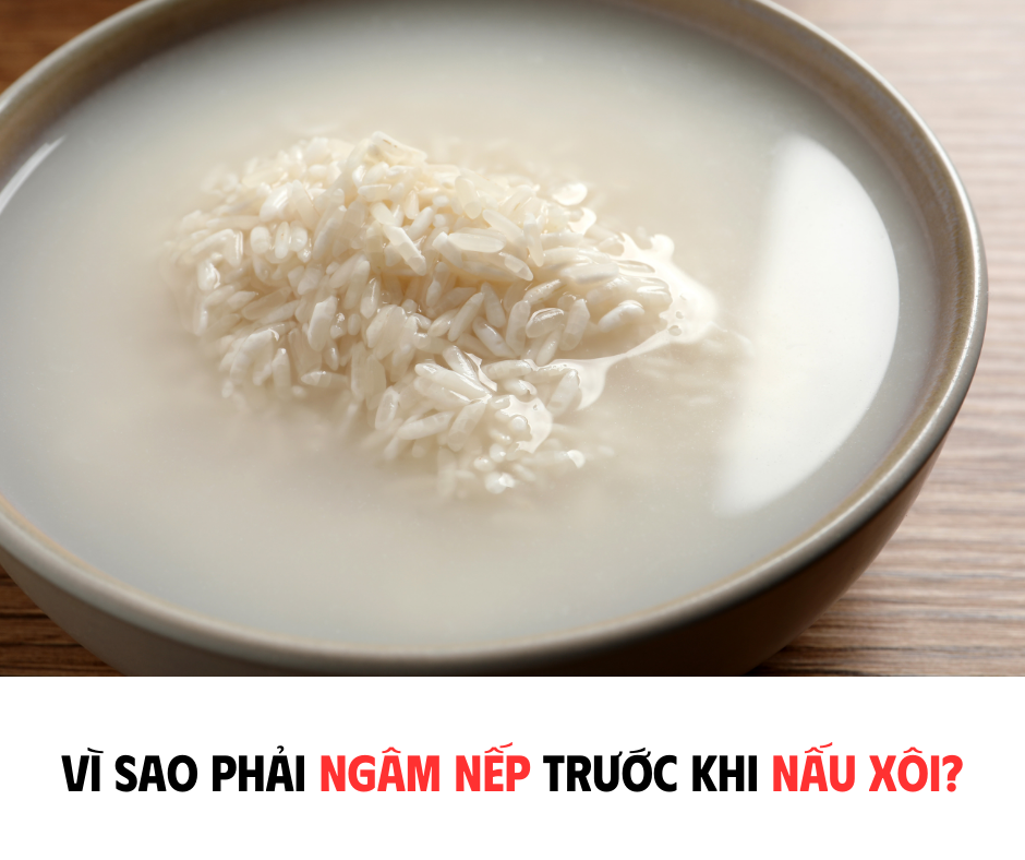 VÌ SAO PHẢI NGÂM NẾP TRƯỚC KHI NẤU SÔI ?