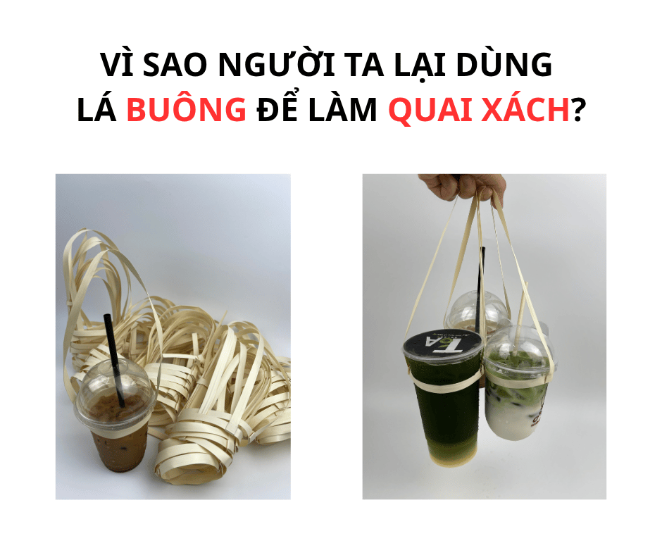 VÌ SAO NGƯỜI TA LẠI DÙNG LÁ BUÔNG ĐỂ LÀM QUAI XÁCH?