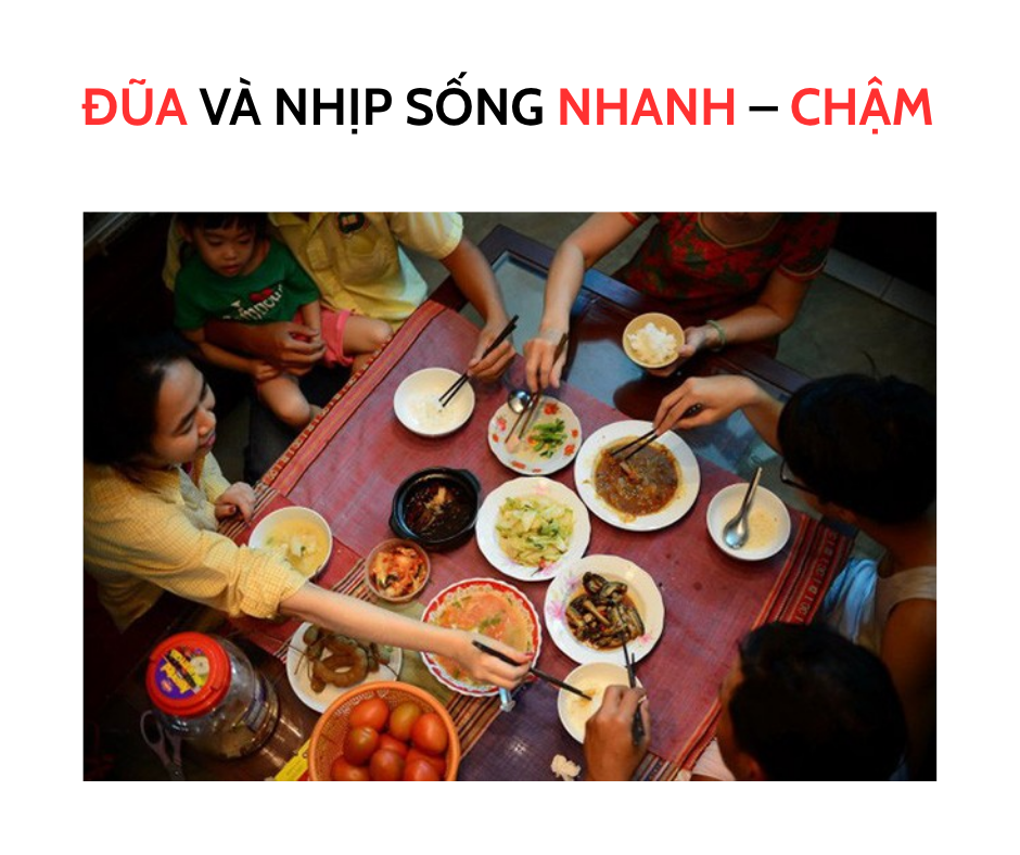 ĐŨA VÀ NHỊP SỐNG NHANH - CHẬM