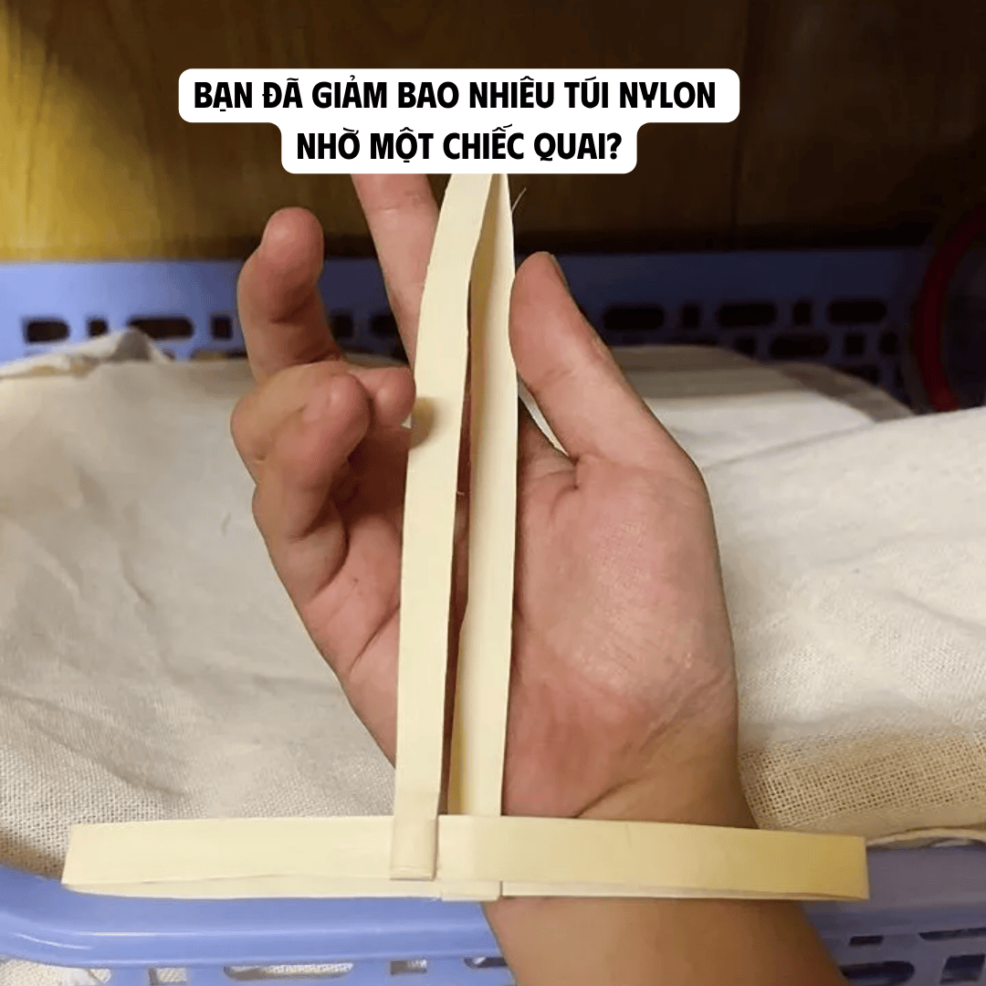 BẠN ĐÃ GIẢM BAO NHIÊU TÚI NYLON NHỜ MỘT CHIẾC QUAI?