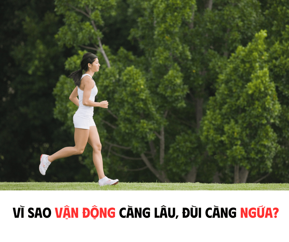 VÌ SAO VẬN ĐỘNG CÀNG LÂU, ĐÙI CÀNG NGỨA?