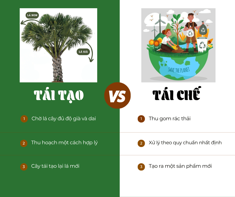 TÁI TẠO VÀ TÁI CHẾ KHÁC NHAU NHƯ THẾ NÀO?