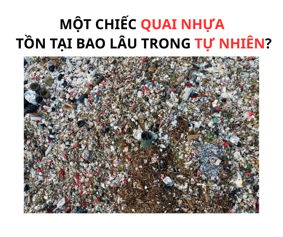 MỘT CHIẾC QUAI NHỰA TỒN TẠI BAO LÂU TRONG TỰ NHIÊN