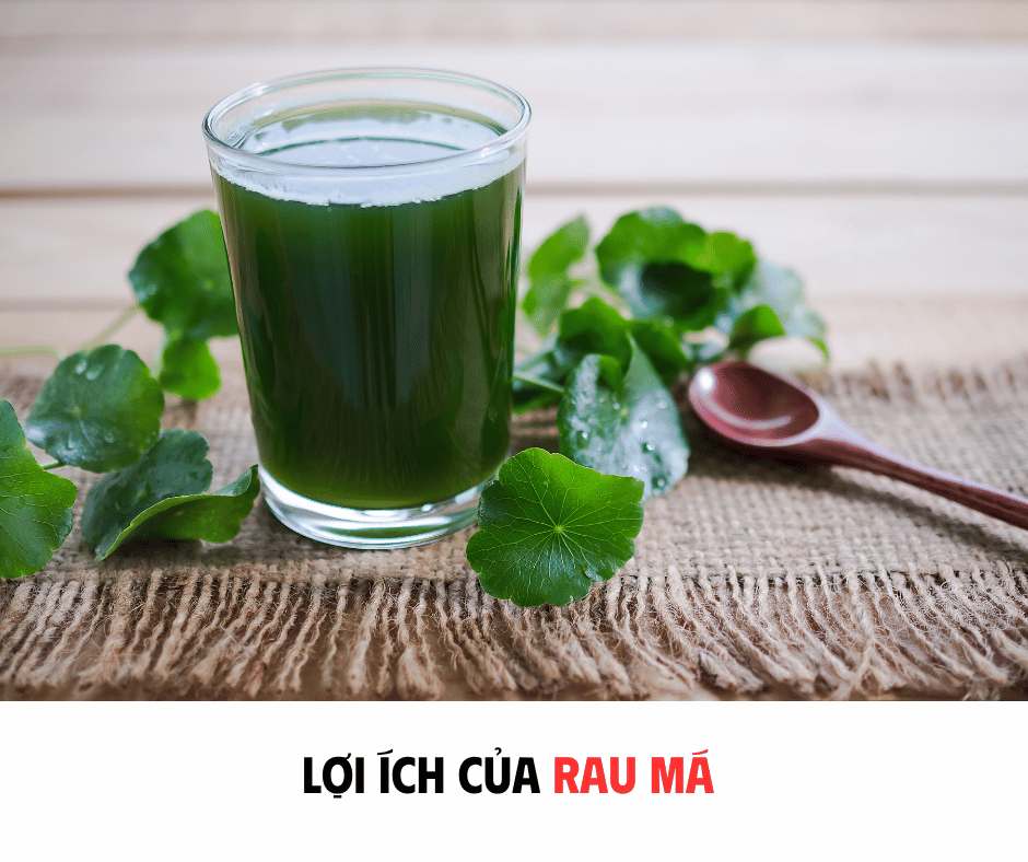 LỢI ÍCH CỦA RAU MÁ