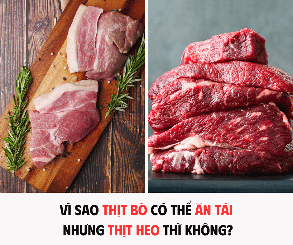 VÌ SAO THỊT BÒ CÓ THỂ ĂN TÁI NHƯNG THỊT HEO THÌ NÊN ĂN CHÍN?