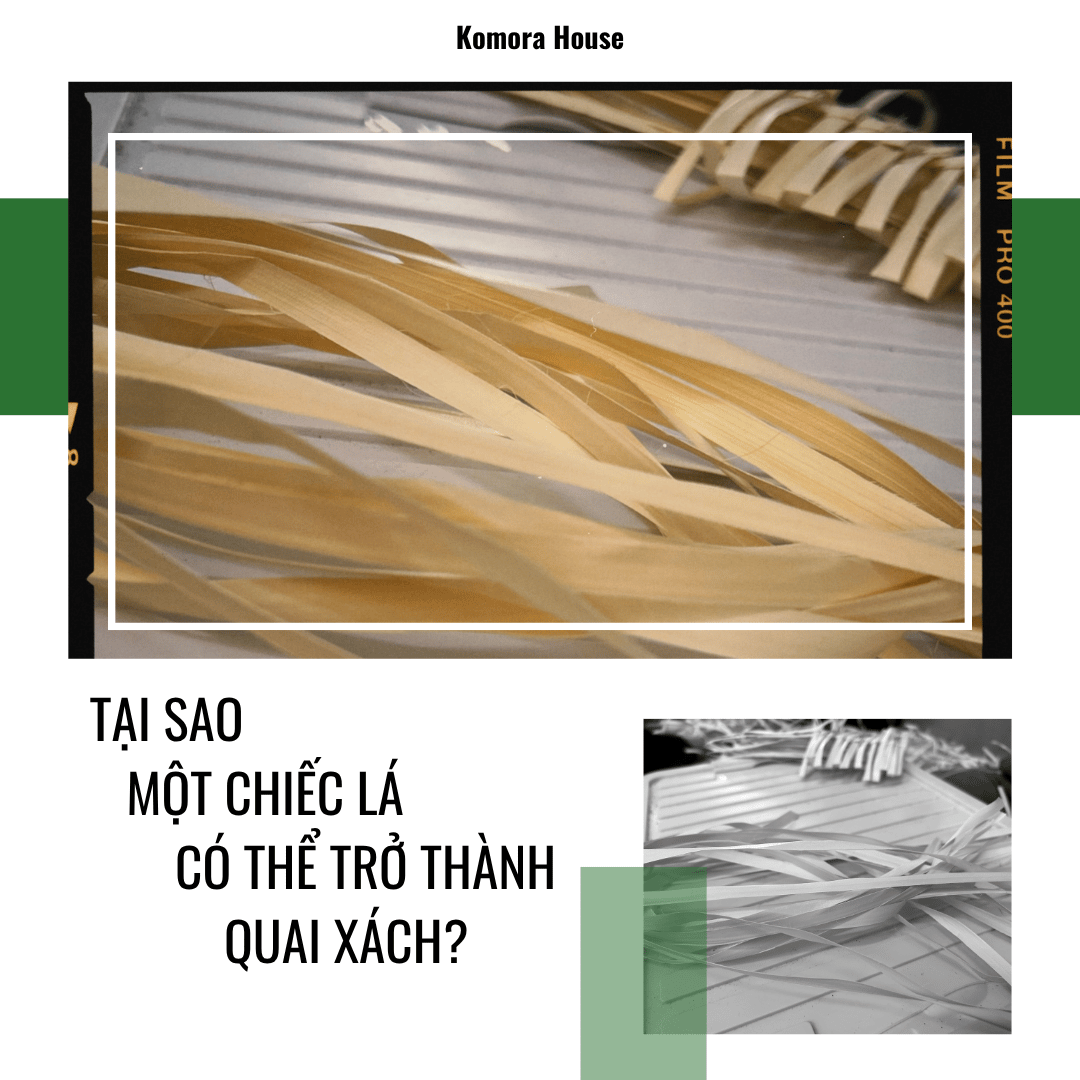 TẠI SAO MỘT CHIẾC LÁ LẠI CÓ THỂ TRỞ THÀNH QUAI XÁCH?