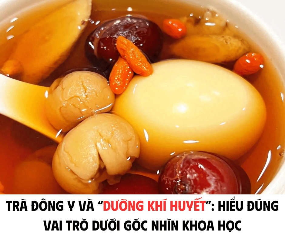 TRÀ ĐÔNG Y VÀ 
