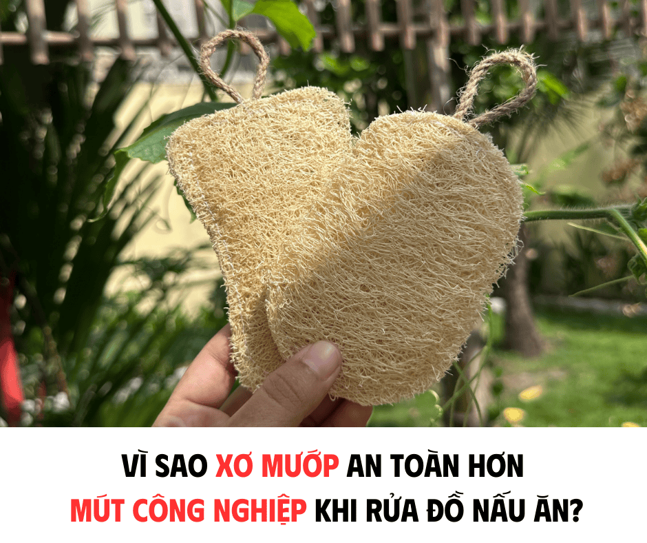 VÌ SAO XƠ MƯỚP AN TOAN HƠN MÚT CÔNG NGHIỆP KHI RỬA ĐỒ NẤU ĂN?
