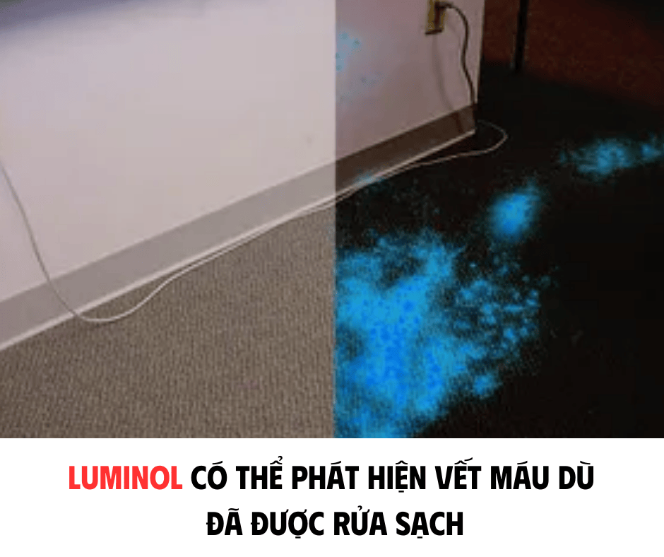LUMINOL CÓ THỂ PHÁT HIỆN VẾT MÁU DÙ ĐÃ ĐƯỢC RỬA SẠCH