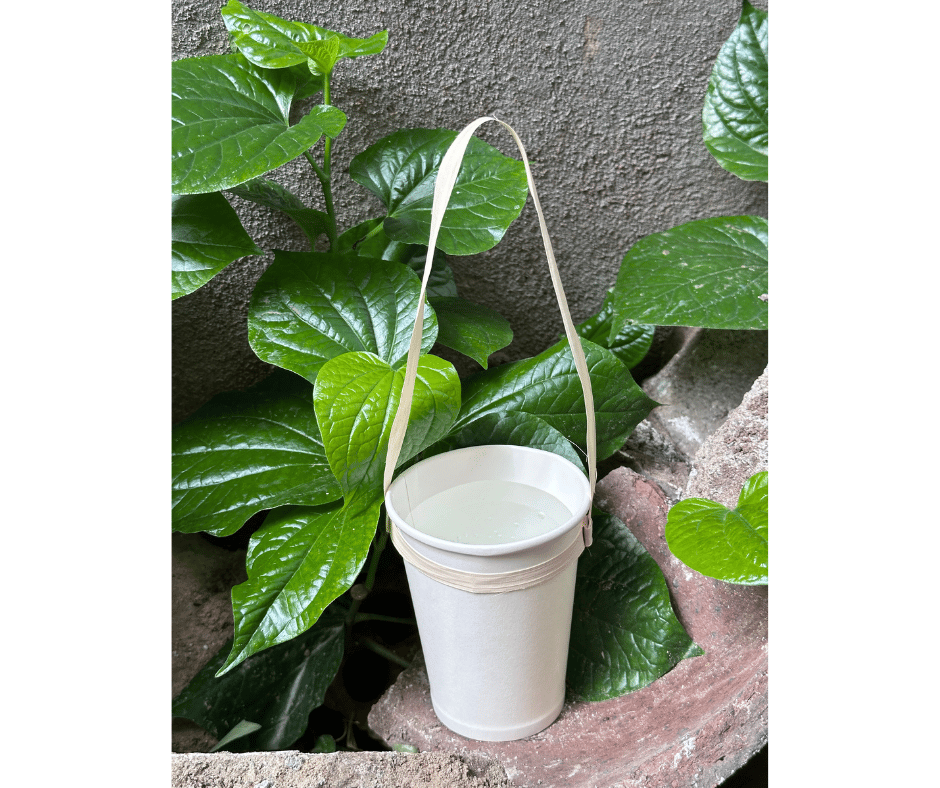 TẠI SAO NHỮNG VẬT CÓ DẤU VẾT TỰ NHIÊN THƯỜNG TẠO CẢM GIÁC GẦN GŨI HƠN?