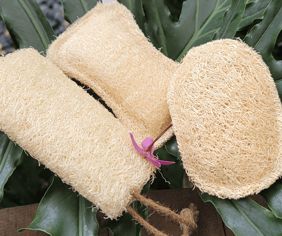 RỪA SẠCH BÁT, NHẸ NHÀNG VÀ AN TOÀN