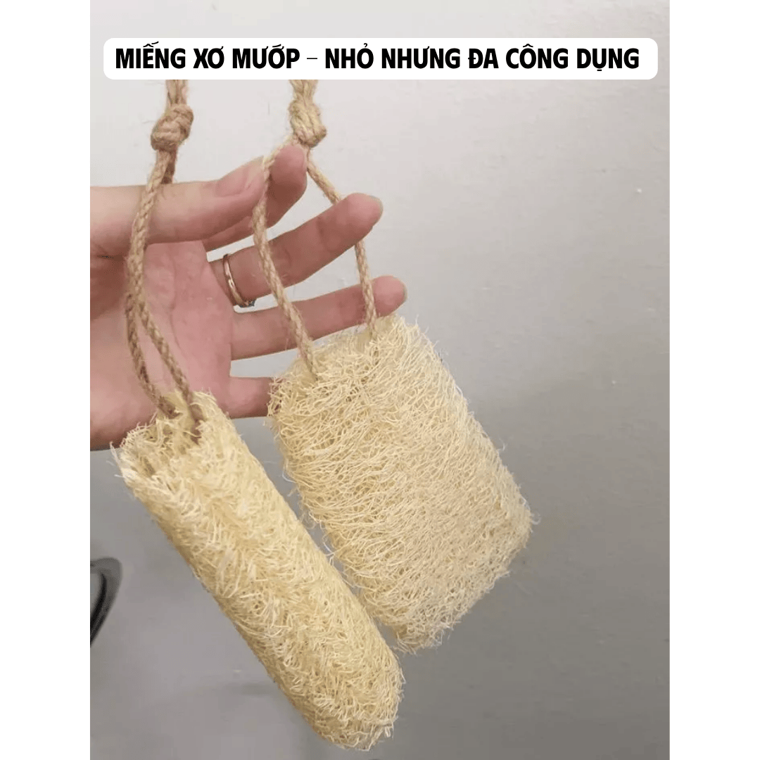 MIẾNG XƠ MƯỚP - NHỎ NHƯNG ĐA CÔNG DỤNG