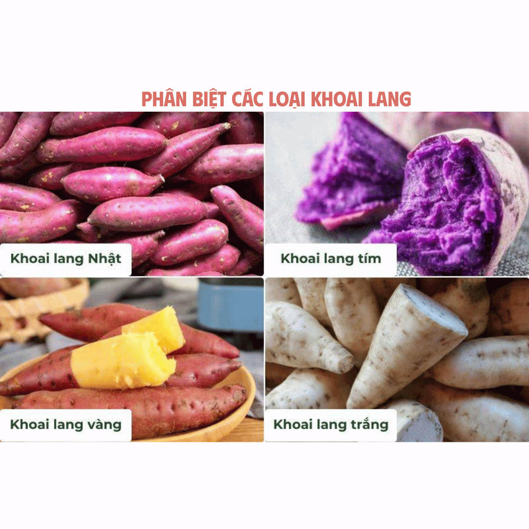 PHÂN BIỆT CÁC LOẠI KHOAI LANG - NHÌN LÀ BIẾT, ĂN LÀ HIỂU