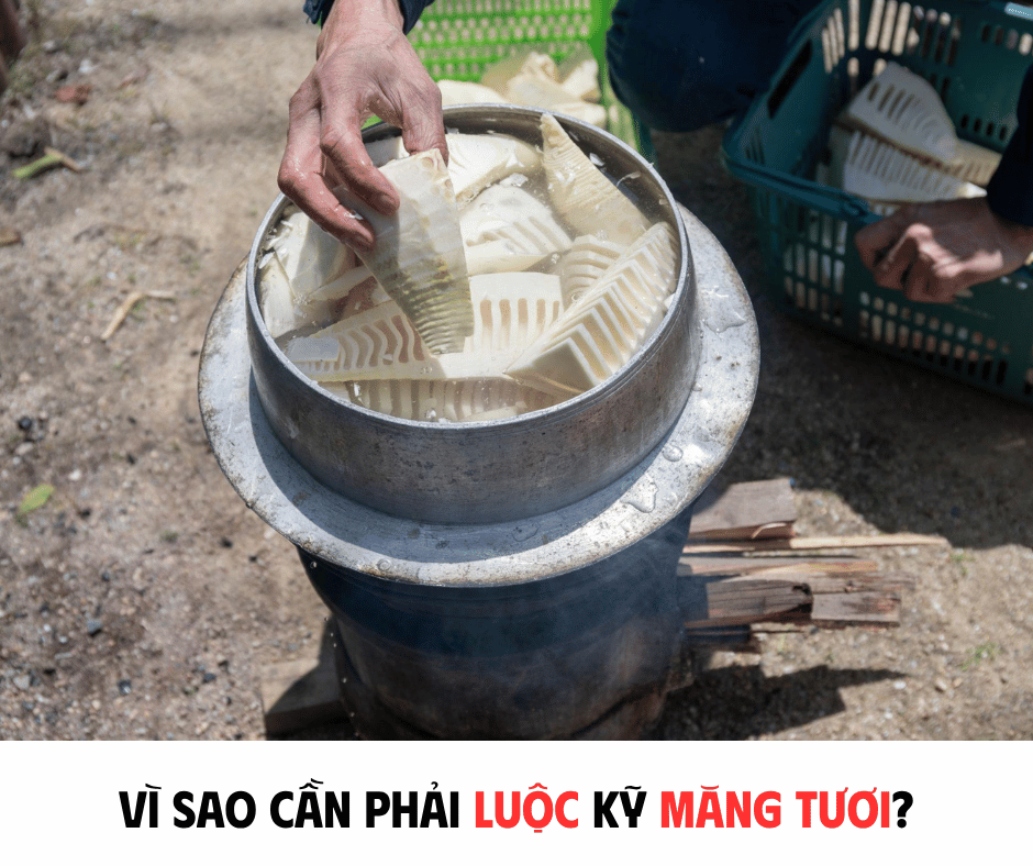 VÌ SAO CẦN PHẢI LUỘC KỸ MĂNG TƯƠI?