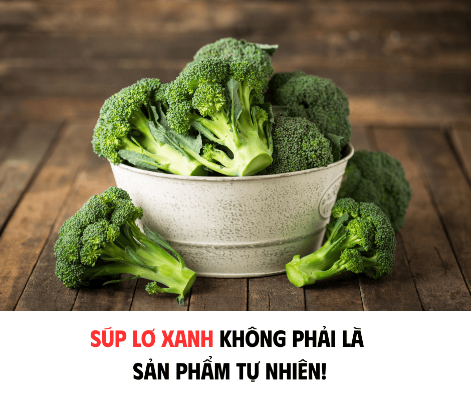 SÚP LƠ XANH - ĐỨA CON NHÂN TẠO CỦA TỰ NHIÊN VÀ CON NGƯỜI