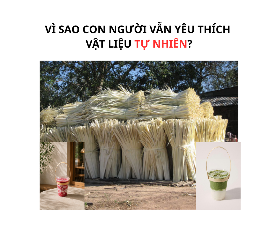 VÌ SAO CON NGƯỜI VẪN YÊU THÍCH VẬT LIỆU TỰ NHIÊN?