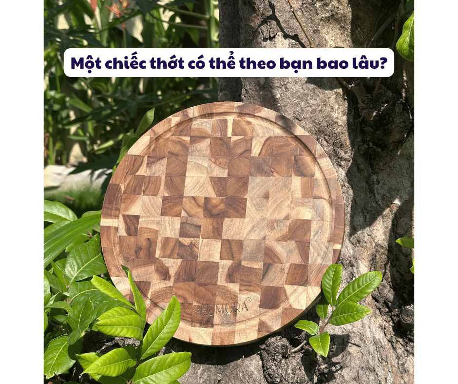 MỘT CHIẾC THỚT CÓ THỂ THEO BẠN BAO LÂU