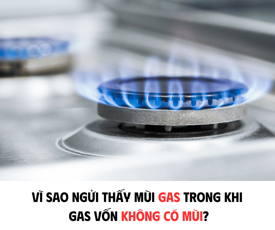 VÌ SAO NGỬI THẤY MÙI GA TRONG KHI GA VỐN KHÔNG CÓ MÙI ?