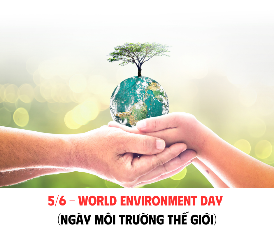 5/6  NGÀY MÔI TRƯỜNG THẾ GIỚI