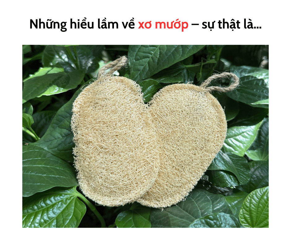 NHỮNG HIỂU LẦM VỀ XƠ MƯỚP - SỰ THẬT LÀ:...