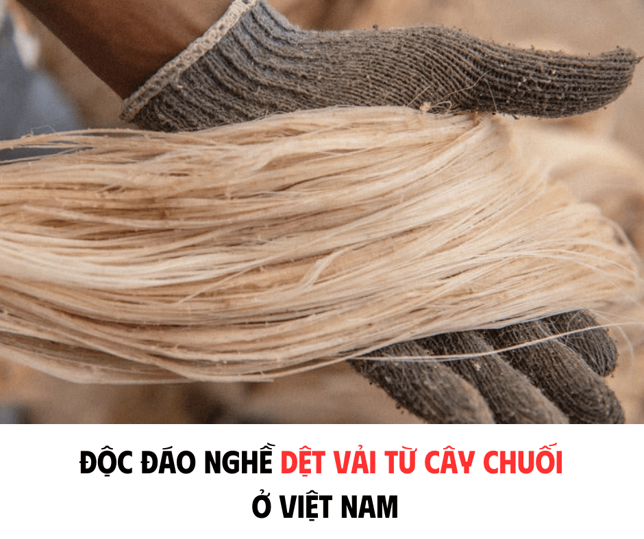 ĐỘC ĐÁO NGHỀ DỆT VẢI TỪ CÂY CHUỐI Ở VIỆT NAM