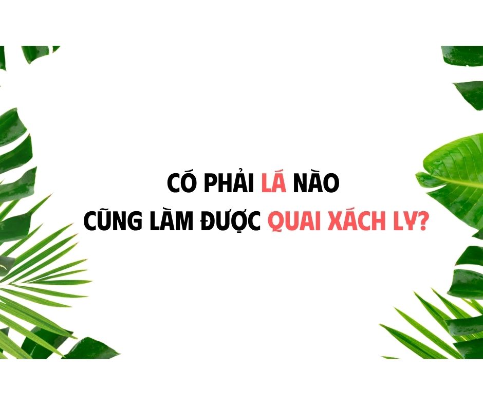 CÓ PHẢI LÁ NÀO CŨNG LÀM ĐƯỢC QUAI XÁCH LY ?