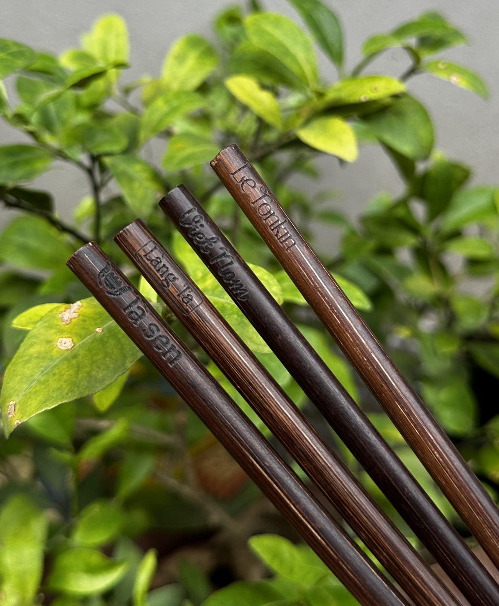 MỘT THƯƠNG HIỆU ĐƯỢC GHI NHỚ KHÔNG CHỈ VÌ SẢN PHẨM, MÀ VÌ CẢM GIÁC HỌ MANG LẠI