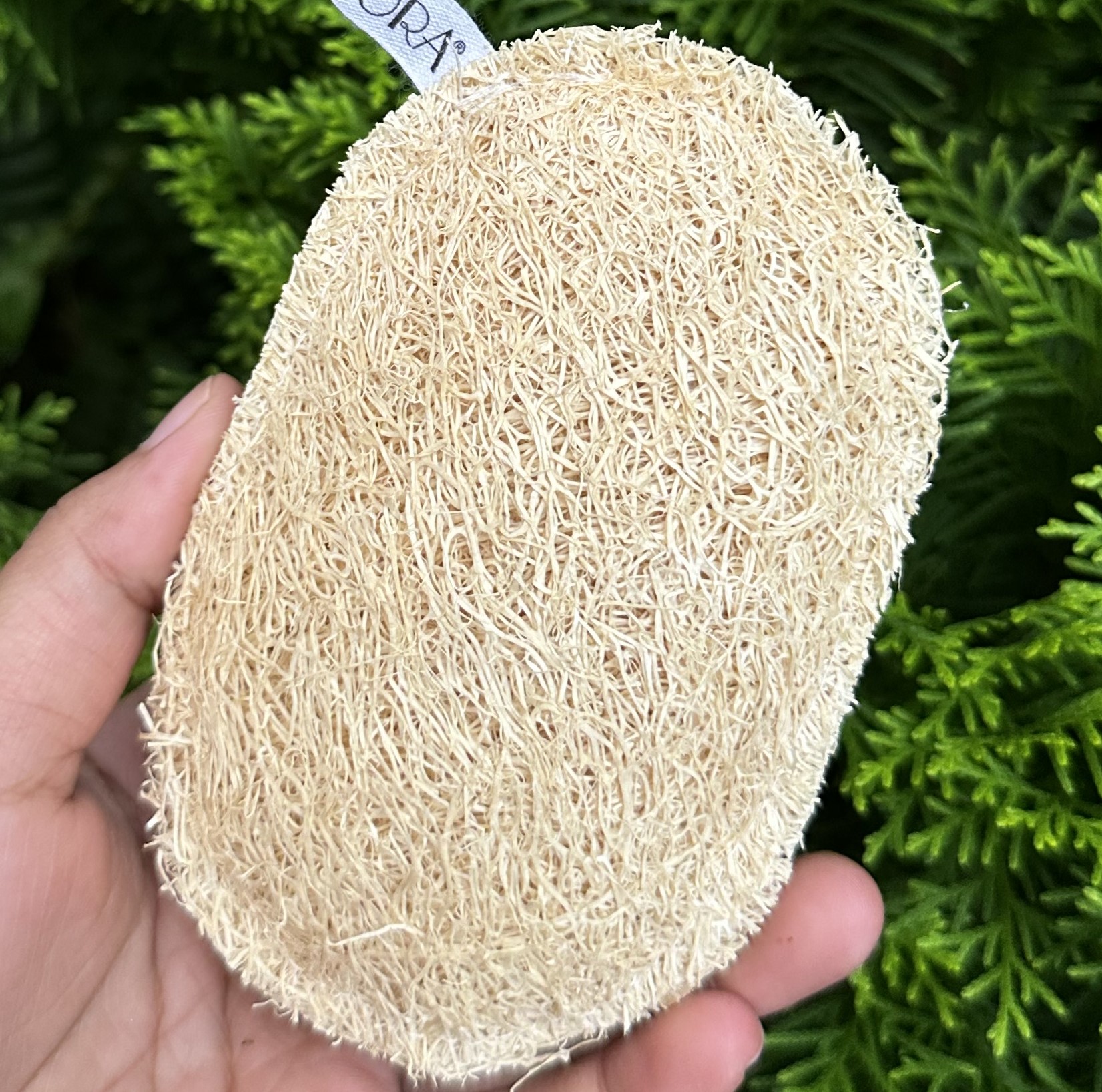LƯU Ý KHI SỬ DỤNG XƠ MƯỚP KOMORA ĐỂ BỀN LÂU, SẠCH ĐỀU VÀ KHÔNG NÁT