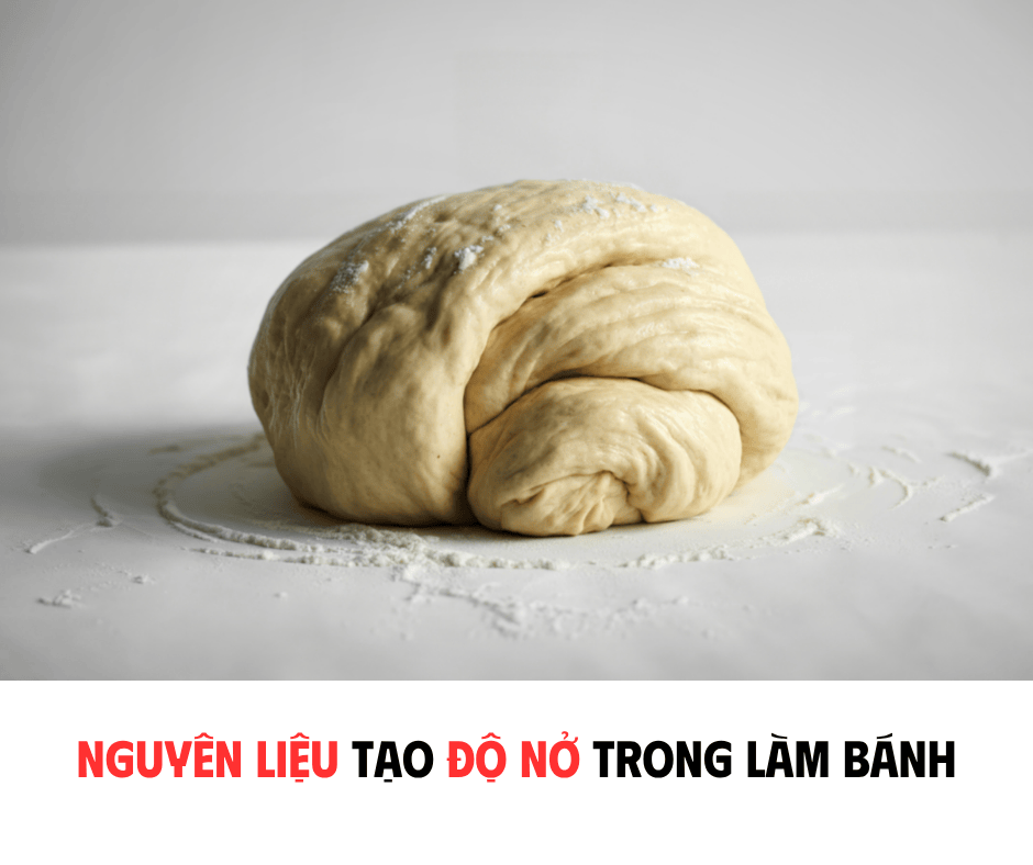NGHIÊN LIỆU TẠO ĐỘ NỞ TRONG LÀM BÁNH