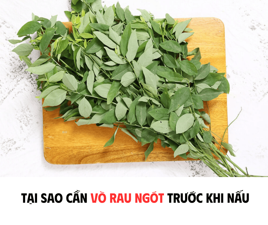 TẠI SAO CẦN VÒ RAU NGÓT TRƯỚC KHI NẤU