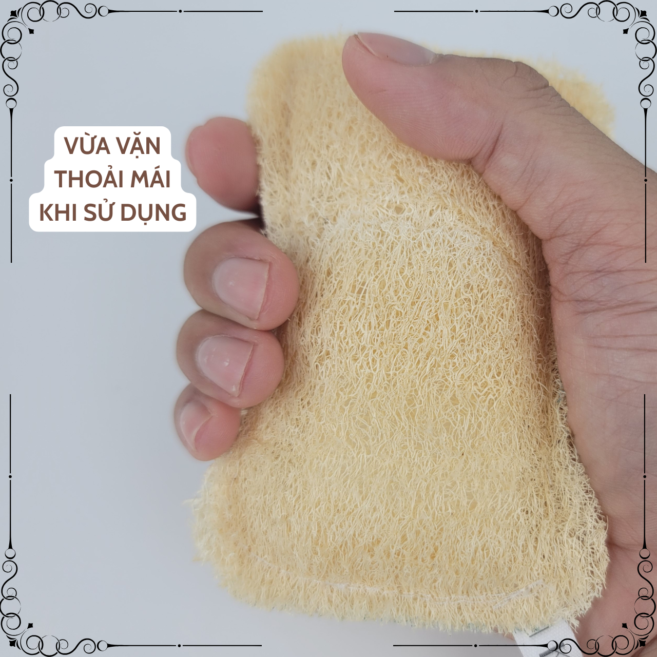 Miếng Rửa Chén Xơ Mướp