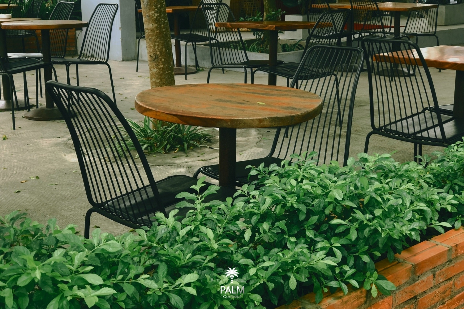 Thiết kế quán Cafe sân vườn Paradise Đức Hòa