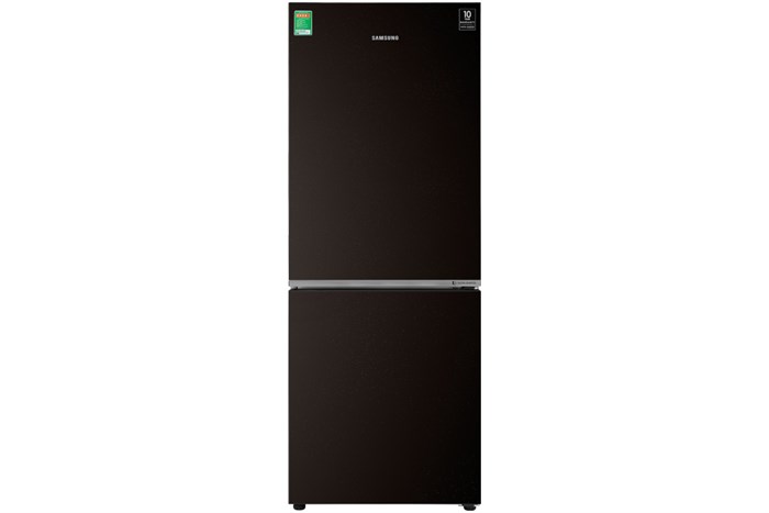 Tủ lạnh Samsung Inverter 280 lít RB27N4010BY/SV