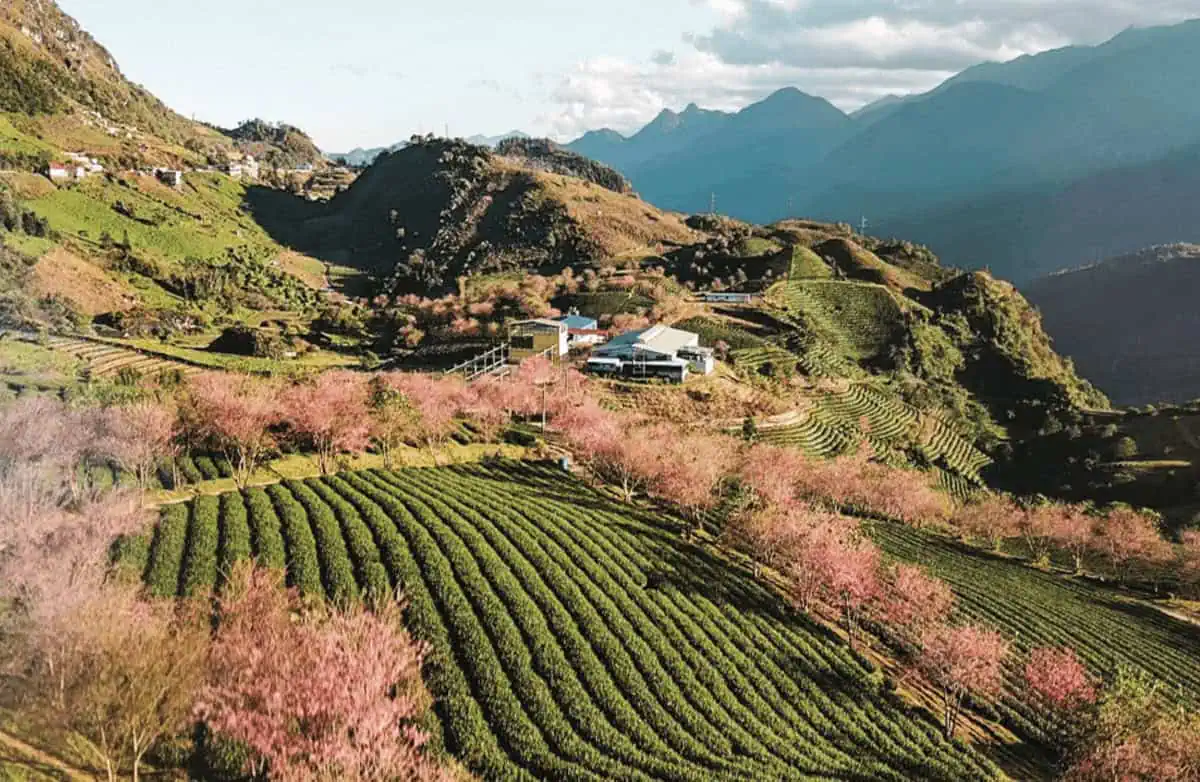 Cát Cát Hills Resort and Spa