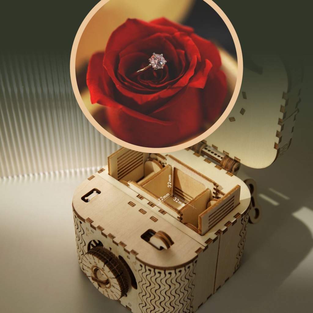 Mô hình Cơ Động học Hộp Kho Báu Treasure Box LK502