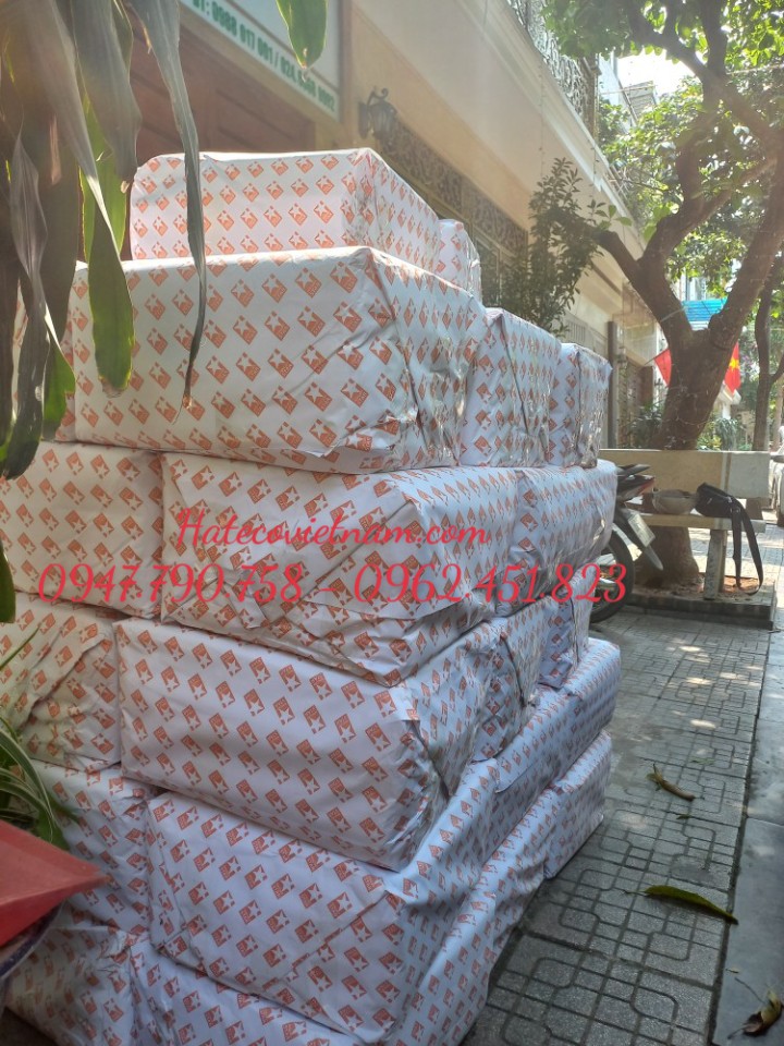 Cặp 3 giấy 7cm 10cm 15cm 20cm dày bóng đựng tài liệu lưu trữ hồ sơ THANH PHÚC