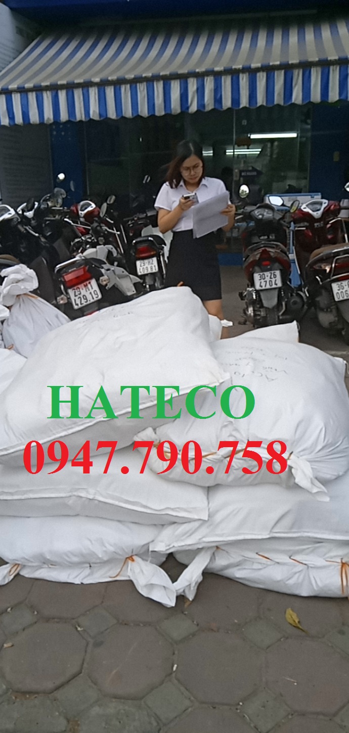 Túi Clearbag khổ A4 TRẮNG TRƠN CHƯA IN ( Túi myclear, túi khuy, túi cúc, bìa nút) - DÙNG IN QUẢNG CÁO THƯƠNG HIỆU