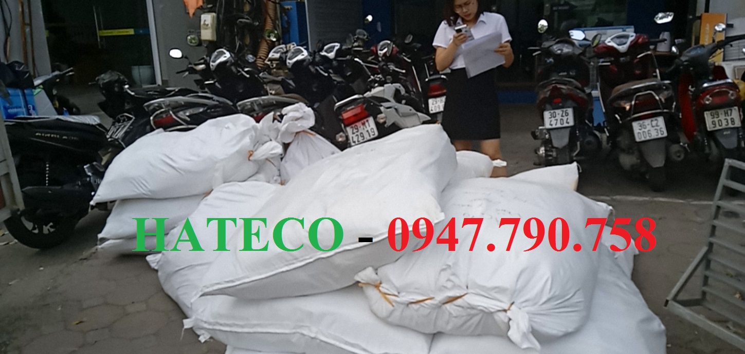 Túi Clearbag khổ A trung TL02 ( Túi myclear, túi khuy, bìa nút, túi cúc)