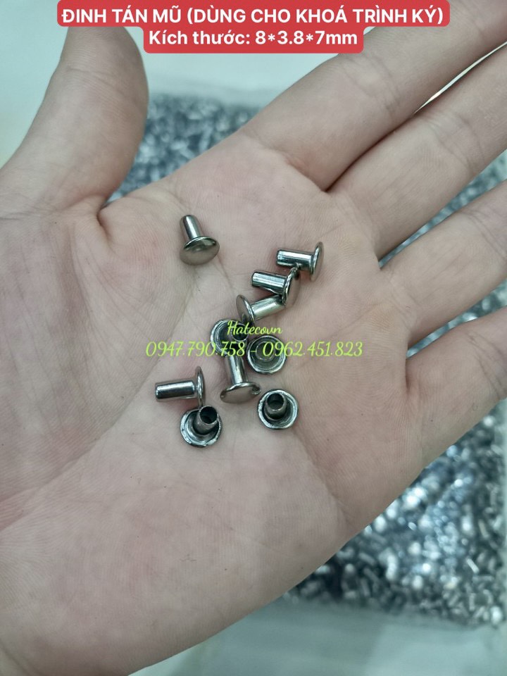 100 ĐINH TÁN (8*3.8*7mm) dùng cho khóa trình ký, khóa còng nhẫn, khóa còng bật,...