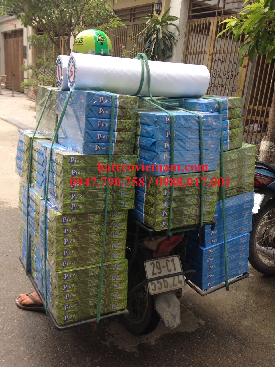 GIẤY GREEN PINE A5 ĐỊNH LƯỢNG 65 GSM - GIẤY IN