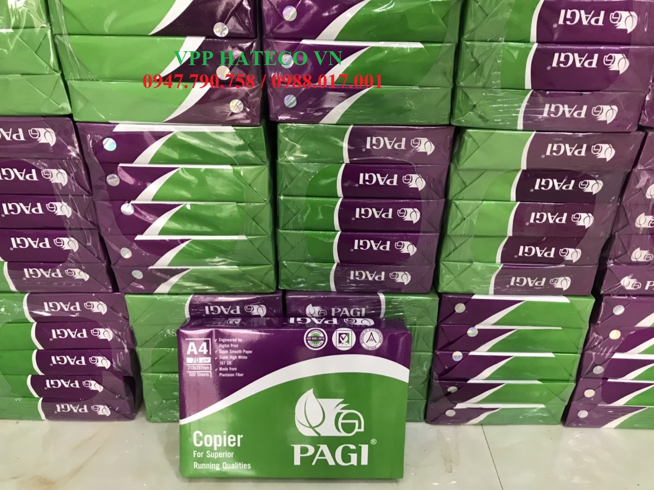 GIẤY IN PHOTO GREEN PINE/PAGI A4 ĐỊNH LƯỢNG 70 GSM - GIẤY PHOTO COPY A3 A4 A5 GIÁ RẺ